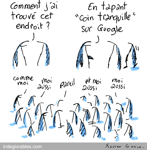 google_coin-tranquille