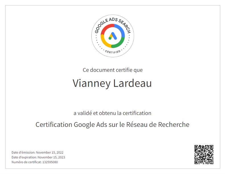 Agence certifiée google partners : google ads sur le réseau de recherche de Vianney Lardeau
